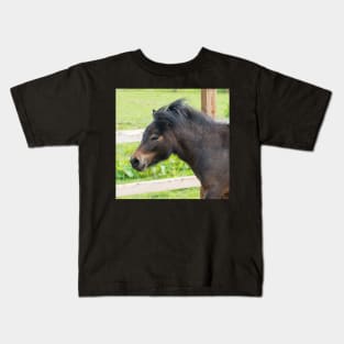 Shetland Pony Kids T-Shirt